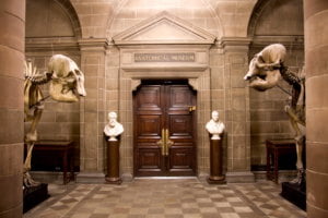 Anatomical Museum