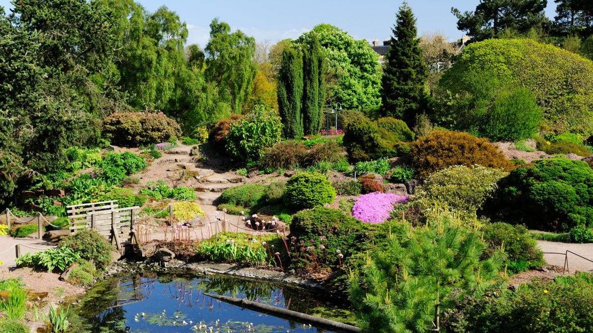 A small wooden footbridge crosses over a green pond. The path is surrounded by various plants, trees and bushes in shades of green and some in pink.